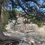 Casa Vacanze Alba * Loceri