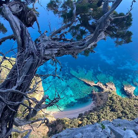 Casa Vacanze Alba Oda ve Kahvaltı *